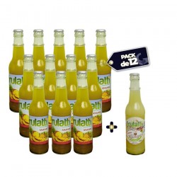 PACK DE 12 BOUTEILLES DE JUS NATUREL ANANAS + GINGEMBRE FRULATTI - 33CL